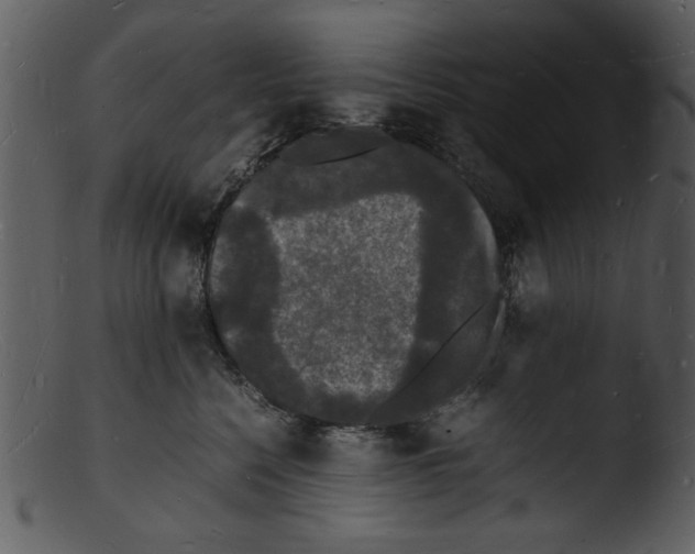 X0000103290568200809261252
