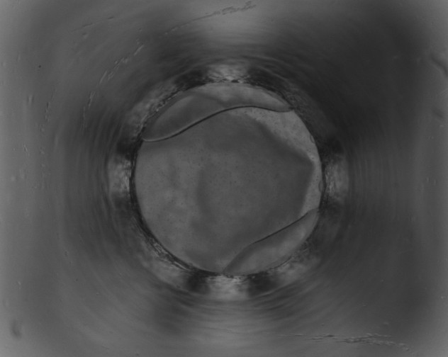 X0000103290570200809261252