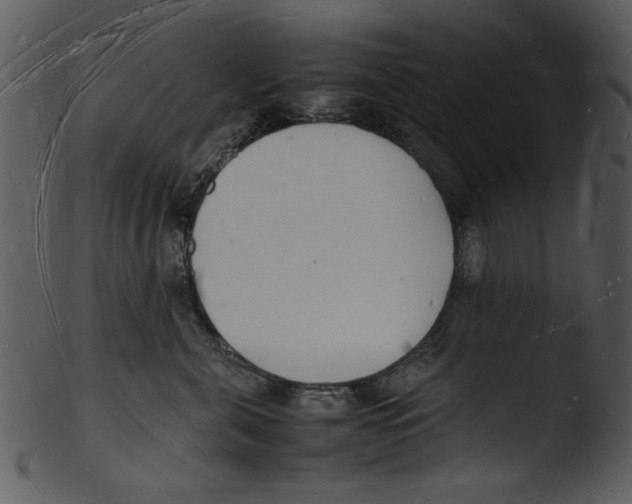 X0000103290571200809261252