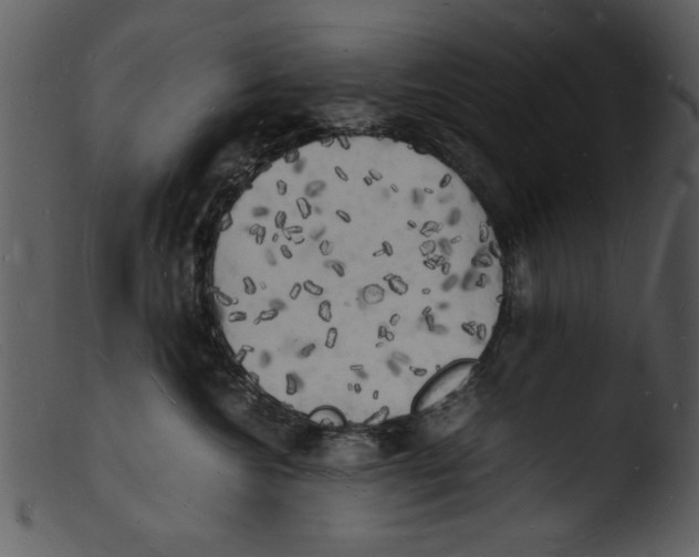 X0000103290572200809261252