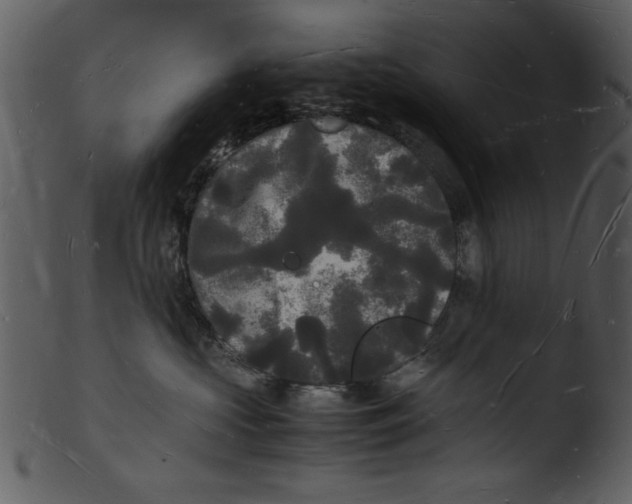 X0000103290573200809261252