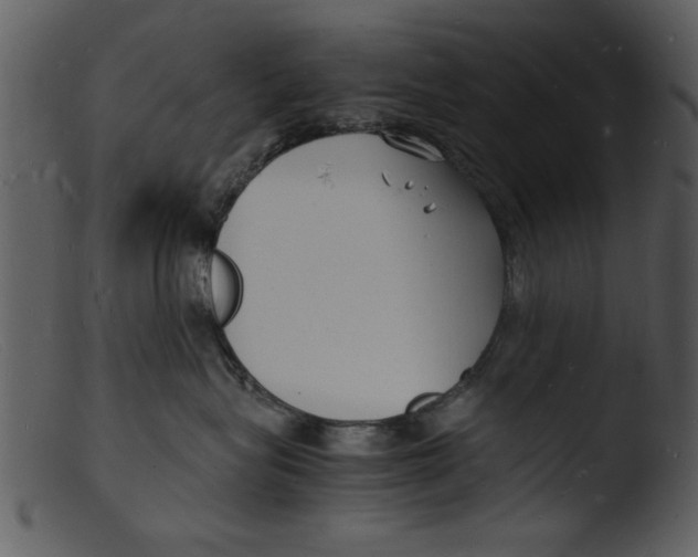 X0000103290575200809261252