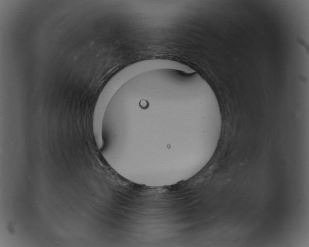 X0000103290576200809261252
