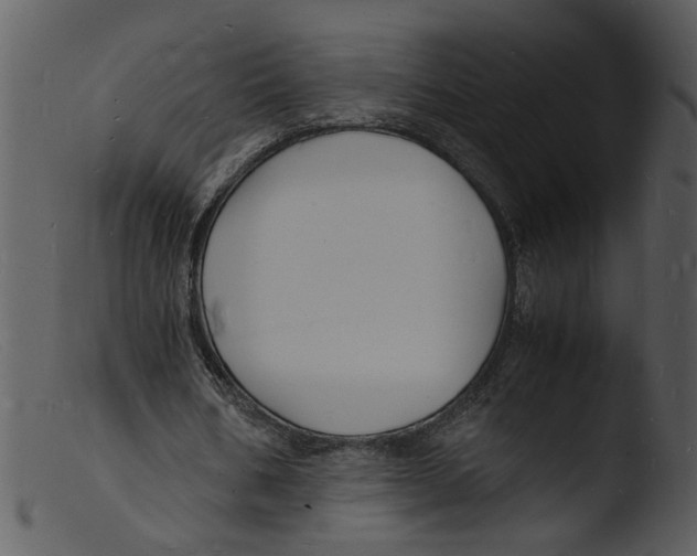 X0000103290578200809261252