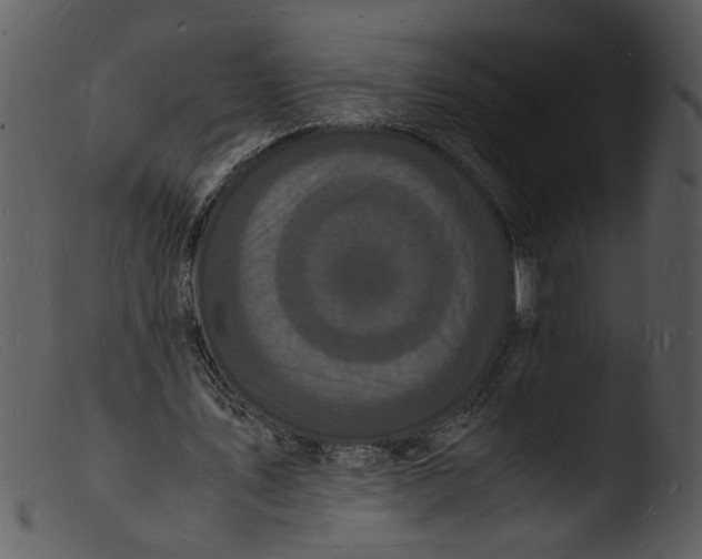 X0000103290579200809261252