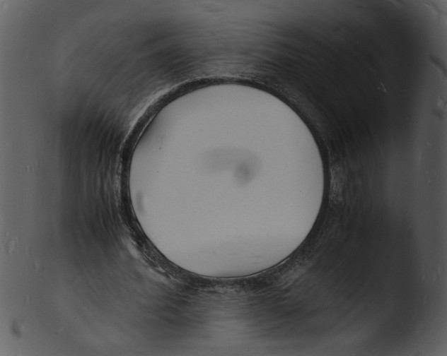 X0000103290580200809261252
