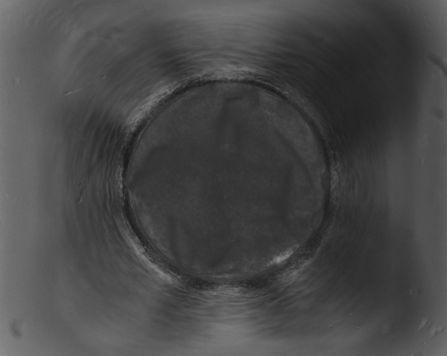 X0000103290581200809261251