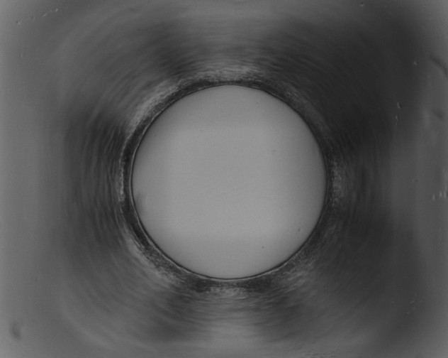 X0000103290582200809261251