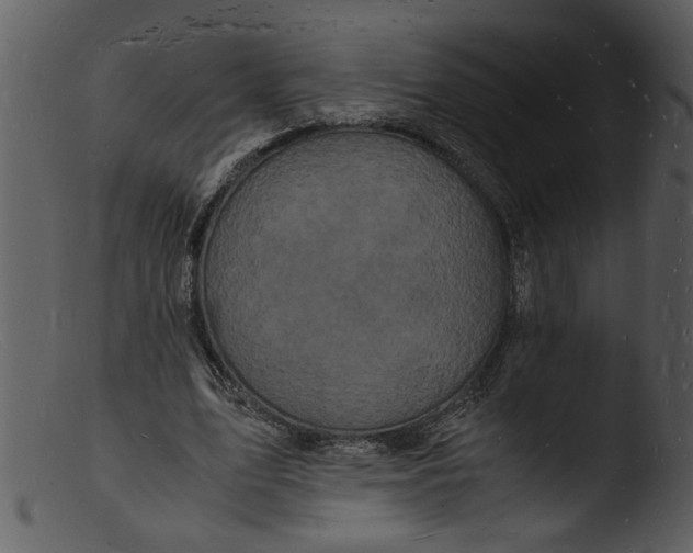 X0000103290583200809261251