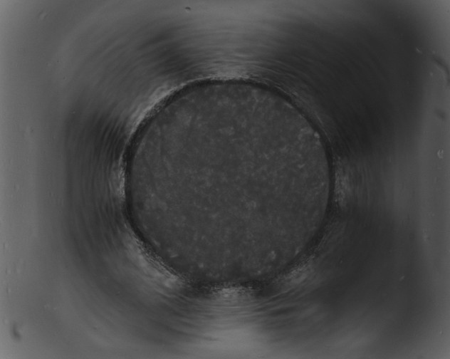 X0000103290584200809261251
