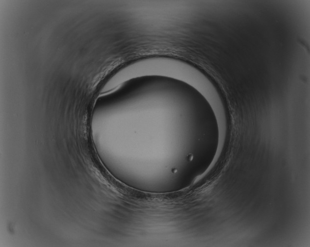 X0000103290585200809261251