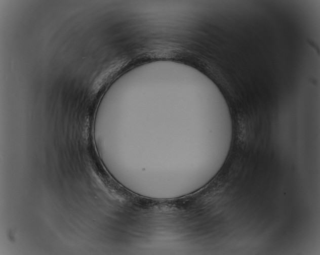 X0000103290586200809261251