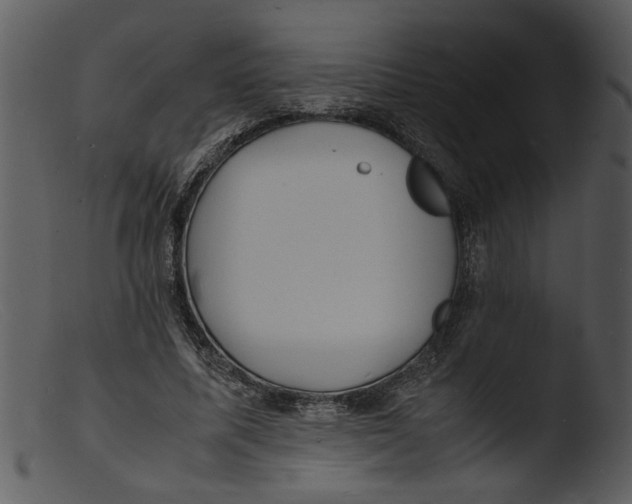 X0000103290587200809261251