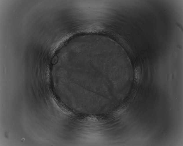 X0000103290588200809261251