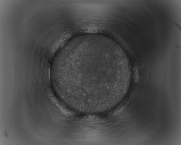 X0000103290589200809261251