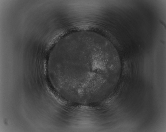 X0000103290590200809261251