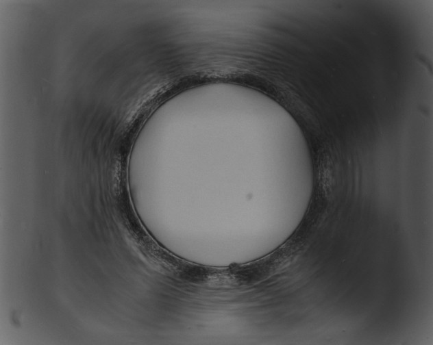 X0000103290591200809261251