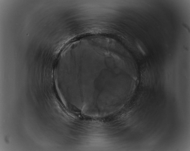 X0000103290592200809261251