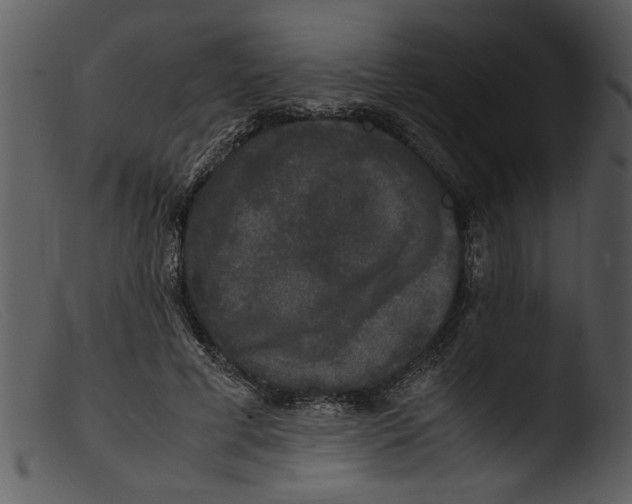 X0000103290593200809261251