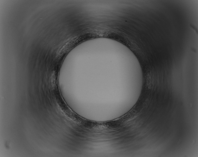X0000103290594200809261251