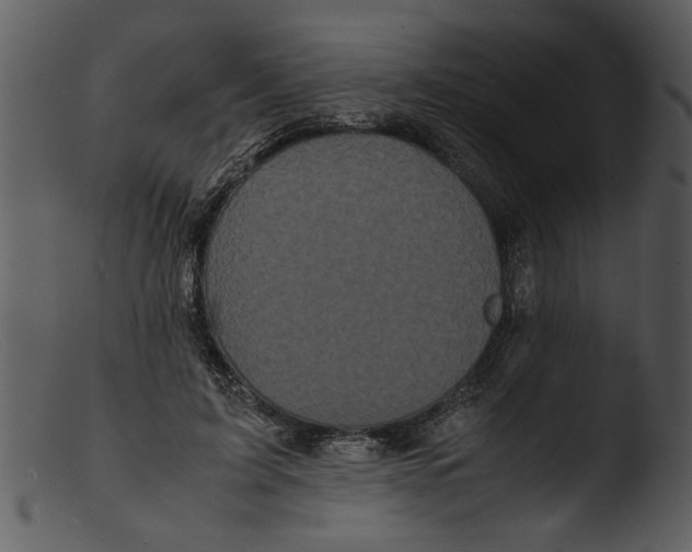 X0000103290595200809261251