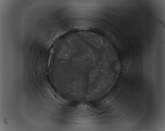 X0000103290596200809261251