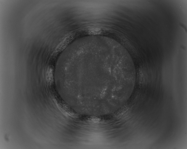 X0000103290598200809261251