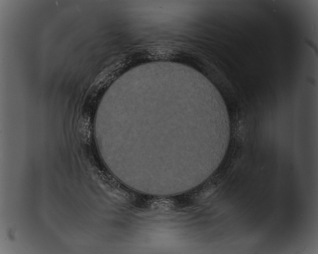 X0000103290599200809261251