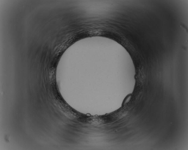 X0000103290601200809261251