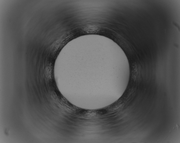X0000103290604200809261251