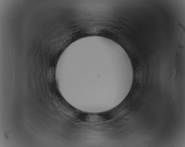 X0000103290605200809261251