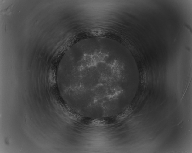 X0000103290606200809261251