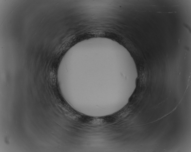 X0000103290609200809261251