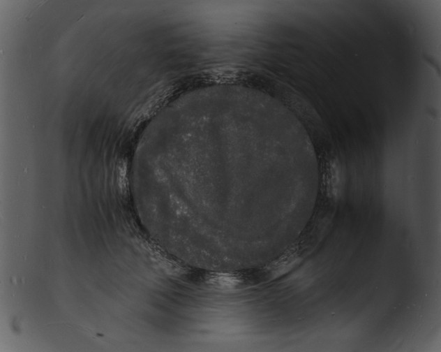 X0000103290610200809261251
