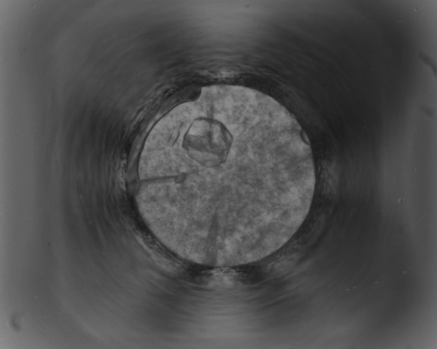 X0000103290612200809261251