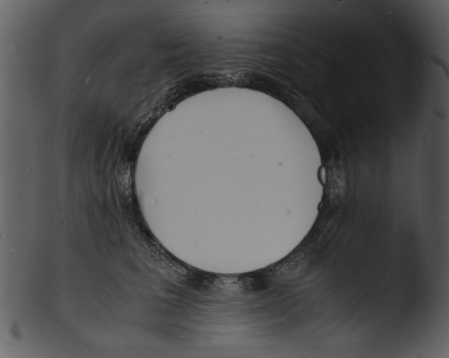 X0000103290613200809261251