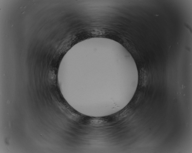 X0000103290614200809261251