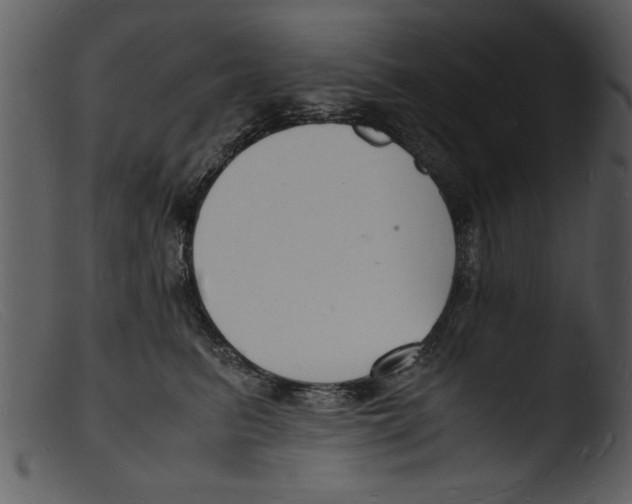 X0000103290615200809261251
