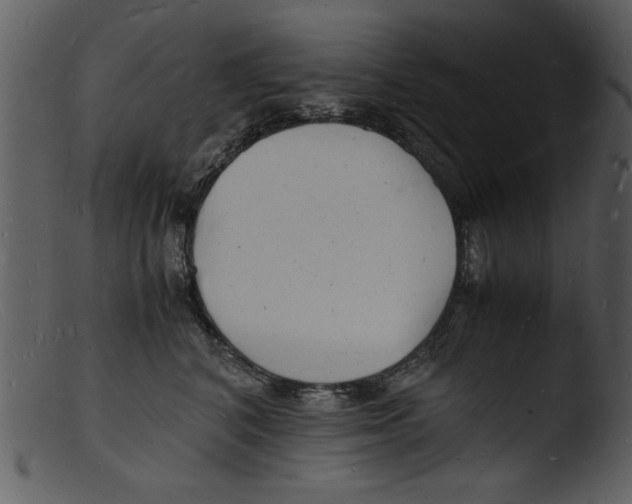 X0000103290616200809261251