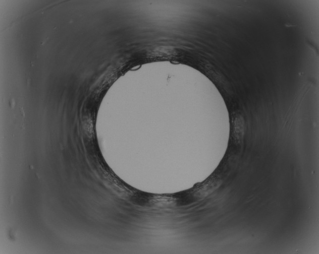 X0000103290617200809261251