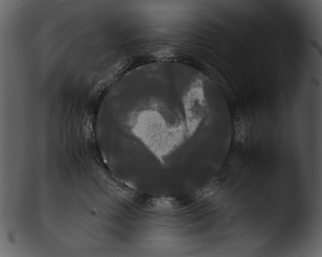 X0000103290618200809261251