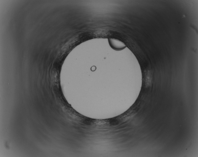 X0000103290619200809261251