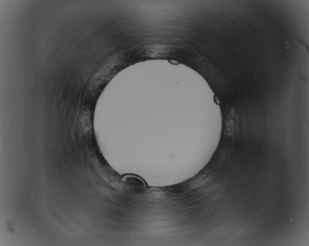 X0000103290620200809261251