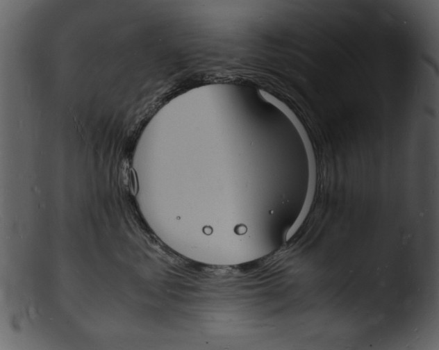 X0000103290621200809261251