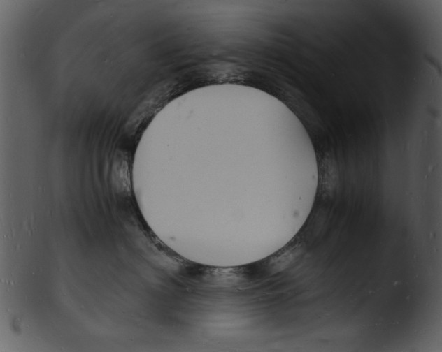 X0000103290622200809261251