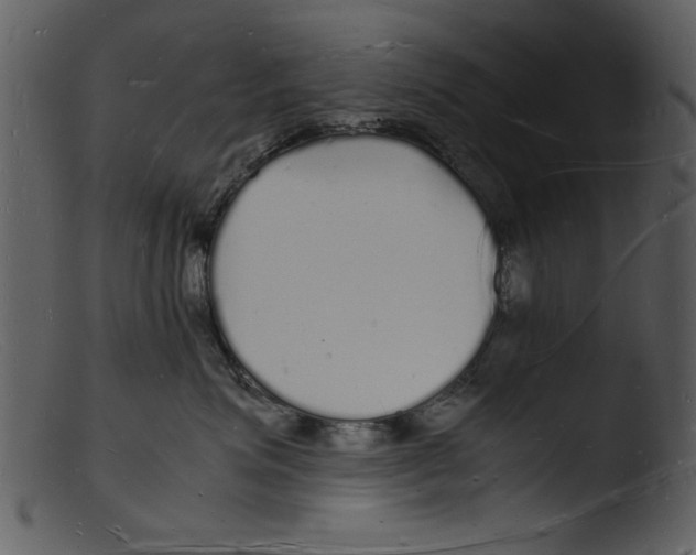 X0000103290623200809261251