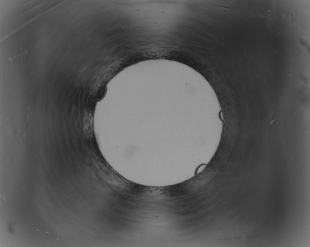 X0000103290624200809261251