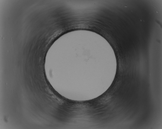 X0000103290625200809261250