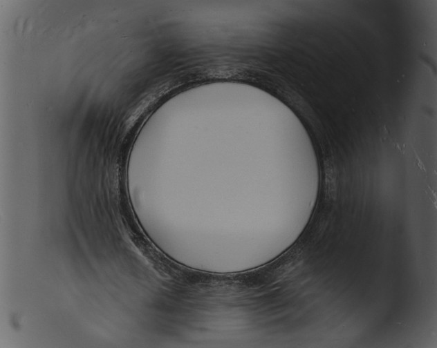 X0000103290626200809261250