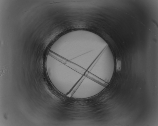 X0000103290627200809261250